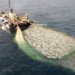 Fishing vessel pulling a large net filled with numerous fish in the ocean.
